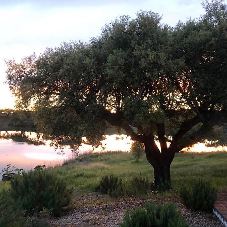 Fontes - A Essencia Do Alentejo Com Lago Privado 雷东多 外观 照片
