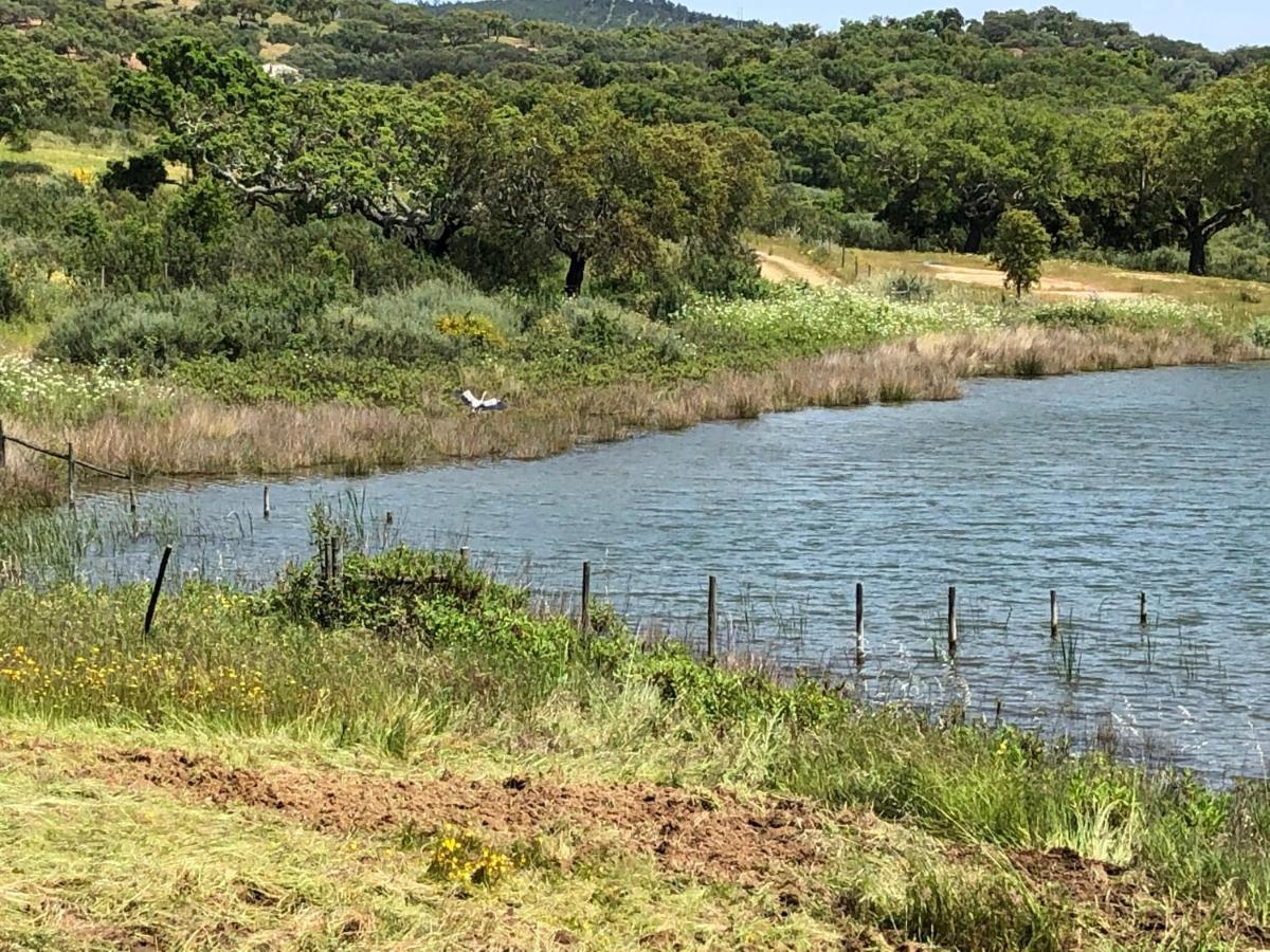Fontes - A Essencia Do Alentejo Com Lago Privado 雷东多 外观 照片